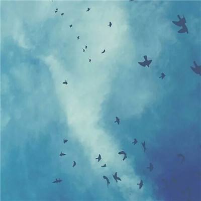 火博体育官方网入口下载