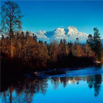 ob体育最新官网截图