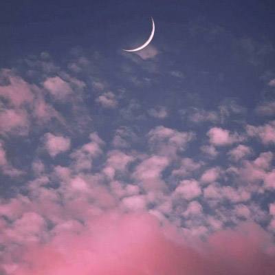 365best体育官网入口