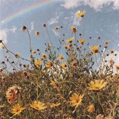 亚博·yabo下载手机版