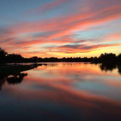 金沙8888js官方下载手机版