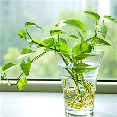 炼爱手游免费下载